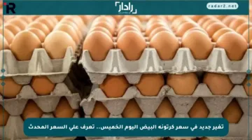 تغير جديد في سعر كرتونة البيض اليوم الخميس.. تعرف على السعر المحدث